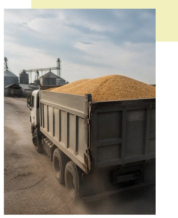 Перевозка сельхозпродукции навалом в Нижнего Новгород по цене от 3126 р. | Агросервис-Ннн